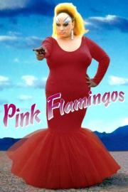 Pink Flamingos filmas