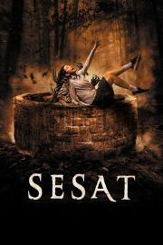 Sesat filmas