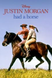 Justin Morgan Had a Horse filmas