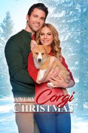 A Very Corgi Christmas filmas