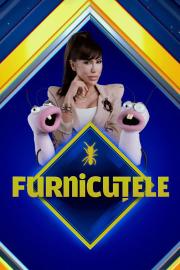 Furnicuțele filmas