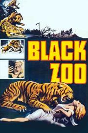 Black Zoo filmas