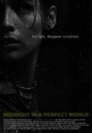 Midnight in a Perfect World filmas