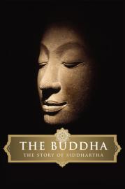 The Buddha filmas
