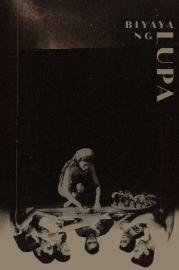 Blessings of the Land filmas