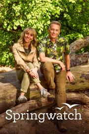 Springwatch filmas