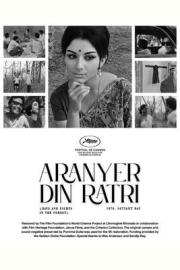 Days and Nights in the Forest filmas