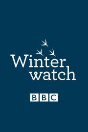 Winterwatch filmas