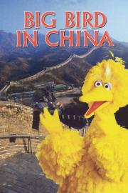 Big Bird in China filmas