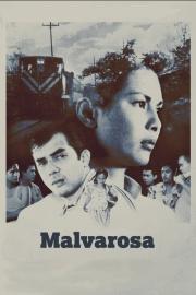 Malvarosa filmas
