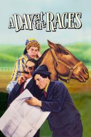 A Day at the Races filmas