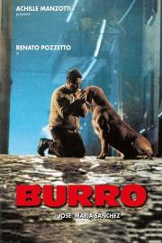 Burro filmas