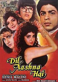 Dil Aashna Hai filmas