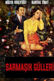 Sarmaşık Gülleri filmas