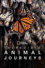 Incredible Animal Journeys filmas