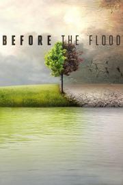 Before the Flood filmas
