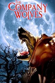 The Company of Wolves filmas