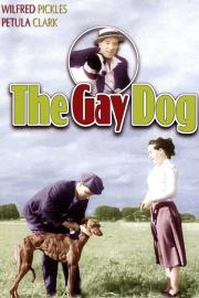 The Gay Dog filmas