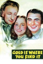 Gold Is Where You Find It filmas