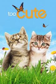 Too Cute filmas