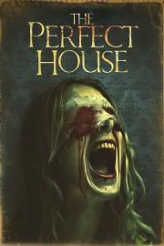 The Perfect House filmas