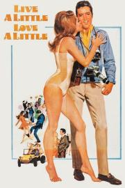 Live a Little, Love a Little filmas