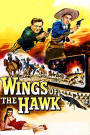 Wings of the Hawk filmas
