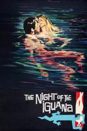 The Night of the Iguana filmas
