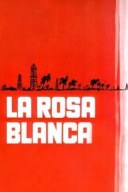 Rosa blanca filmas