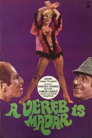 Sparrows Are Birds Too filmas