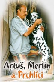 Artus, Merlin a Prchlici filmas