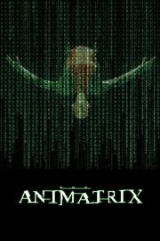 The Animatrix filmas