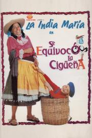 The Stork's Mistake filmas