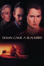 Down Came a Blackbird filmas