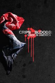 Crips and Bloods: Made in America filmas