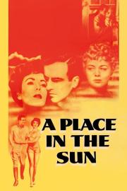 A Place in the Sun filmas