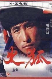 Sparkling Fox filmas