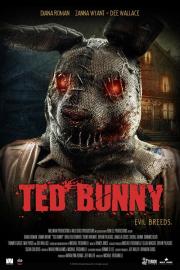 Ted Bunny filmas
