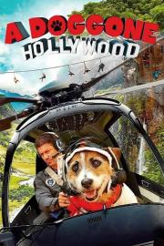 A Doggone Hollywood filmas