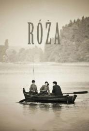 Roza filmas