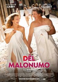 Dėl malonumo filmas