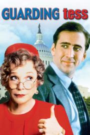 Tesės asmens sargybinis filmas