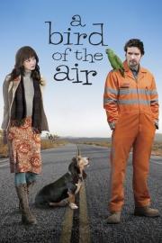 A Bird of the Air filmas
