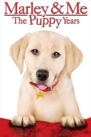 Marley & Me: The Puppy Years filmas