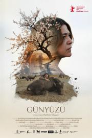 Günyüzü filmas