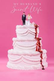My Husband's Secret Wife filmas
