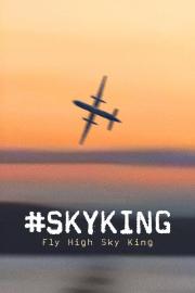 #SKYKING filmas
