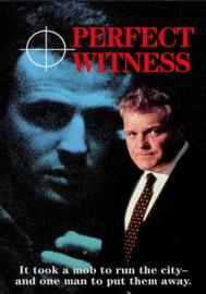 Perfect Witness filmas