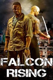 Falcon Rising filmas