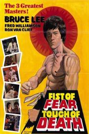 Fist of Fear, Touch of Death filmas